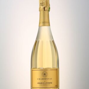 Bouteille Blanc de Blancs 2008
